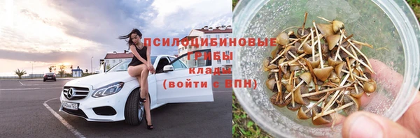 гидра Алексеевка