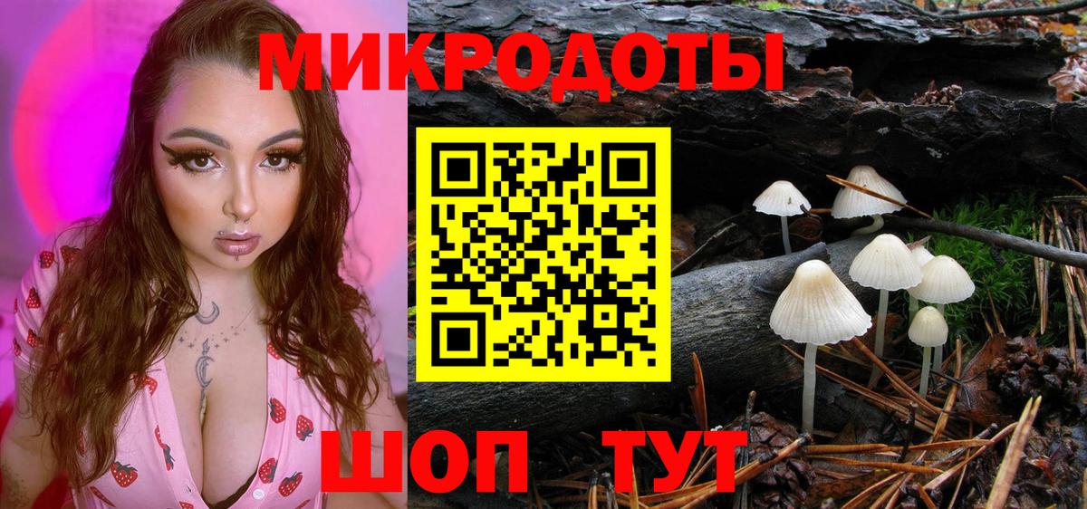 Псилоцибиновые грибы мицелий Новозыбков