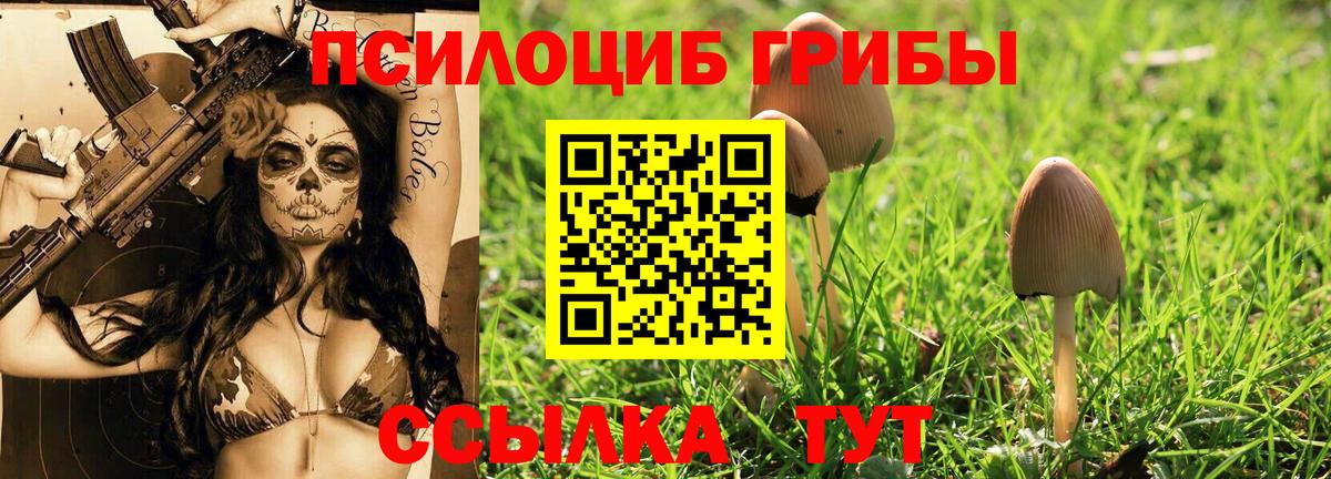 Новозыбков  Псилоцибиновые грибы ЛСД  Вход с VPN  Галлюциногенные грибы GOLDEN TEACHER 